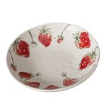BOLTZE Runde Schale Schüssel Strawberry